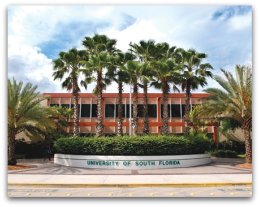 University of South Florida Nurse Anesthetist Program